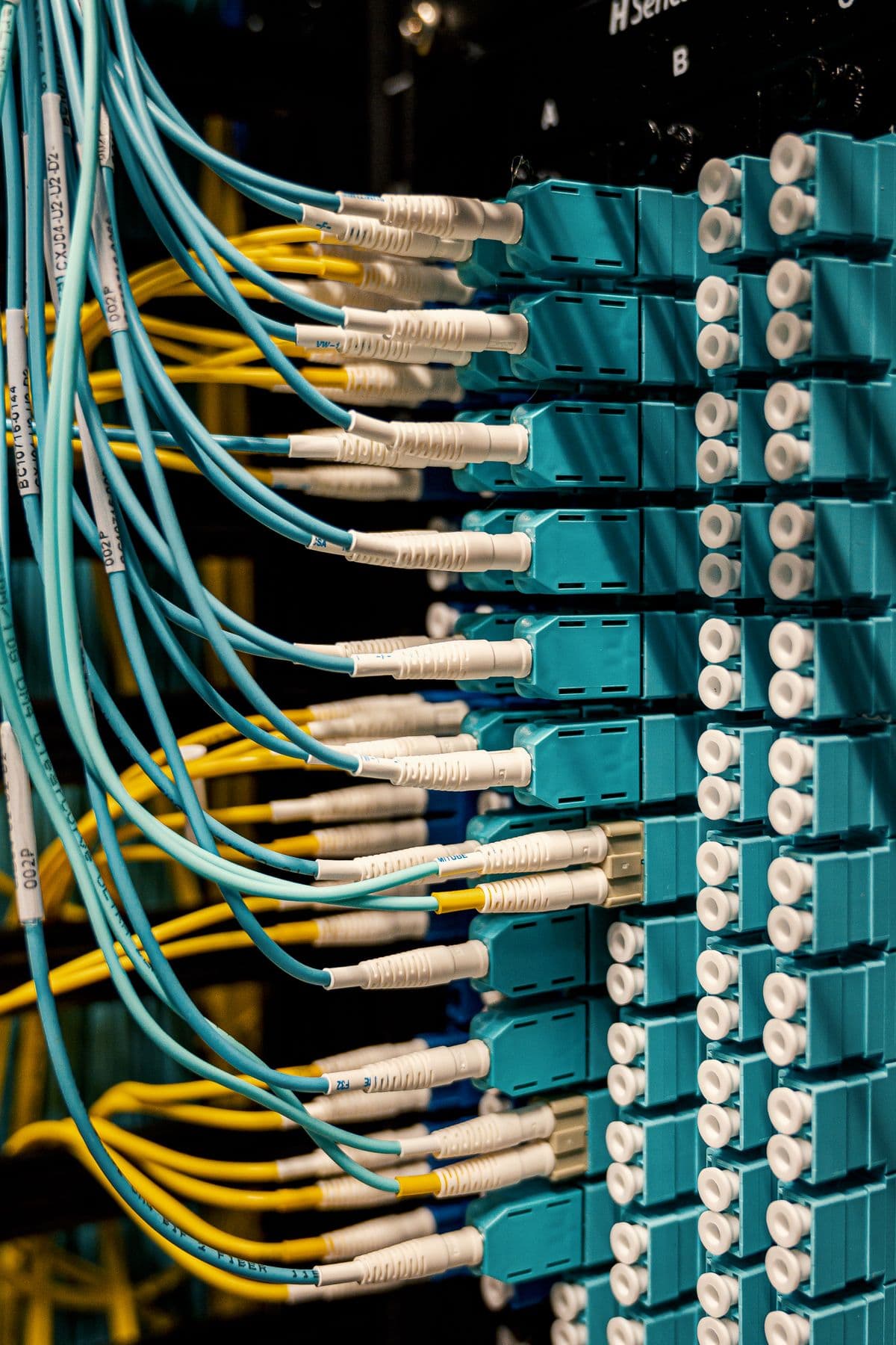 Fiber optic network cables